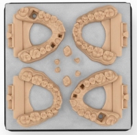 IN CẦU RĂNG VÀ MÃO RĂNG VỚI NHỰA IN NHA KHOA MODEL